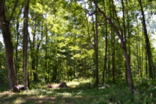 Picture 43