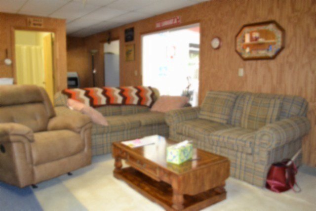 Picture 3
