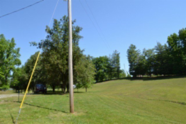 Picture 33