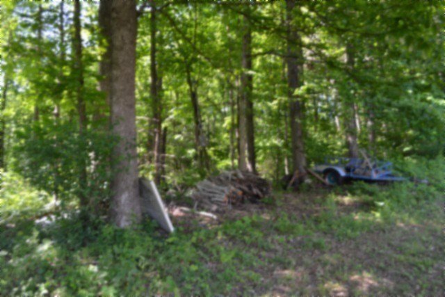 Picture 41