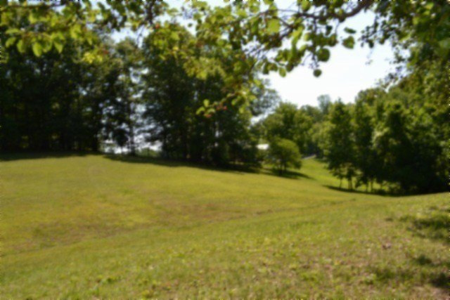 Picture 46
