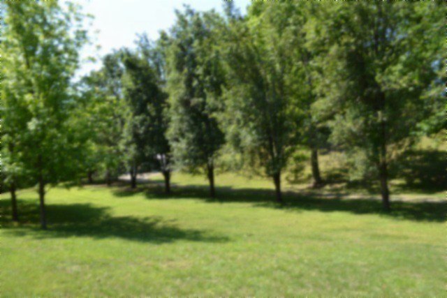 Picture 61