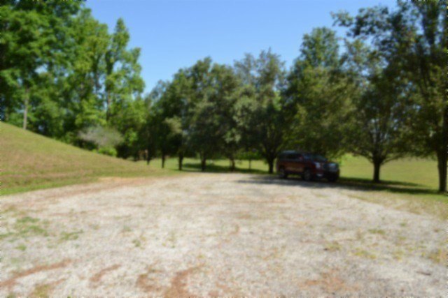 Picture 34