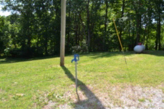 Picture 32