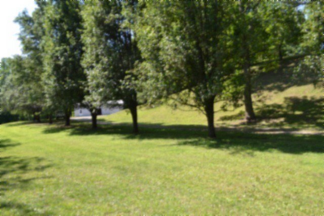 Picture 56