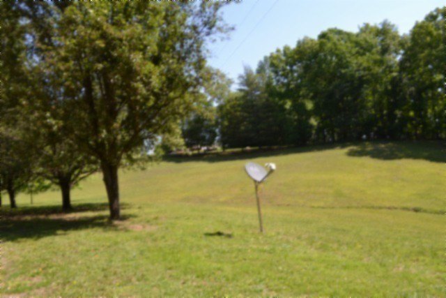 Picture 31