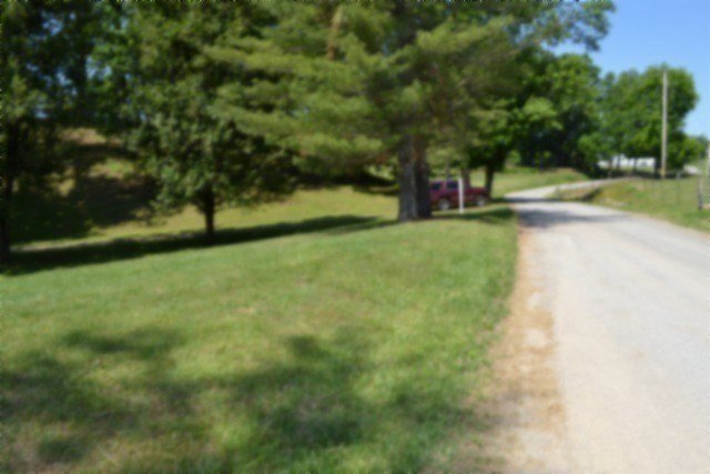 Picture 62