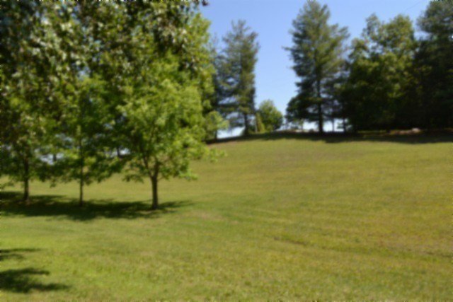 Picture 47