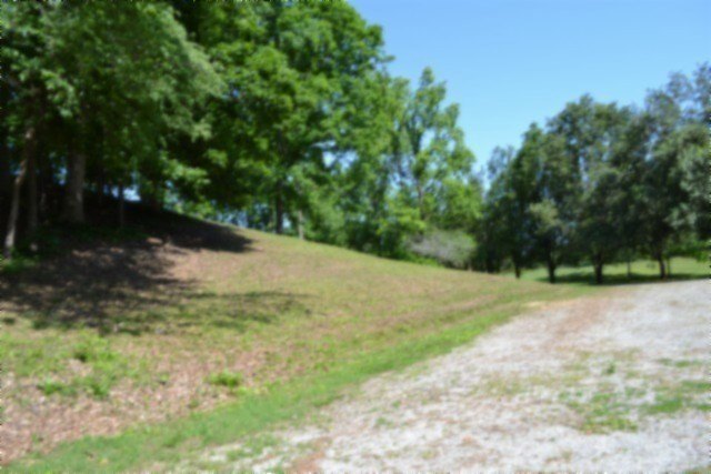Picture 36