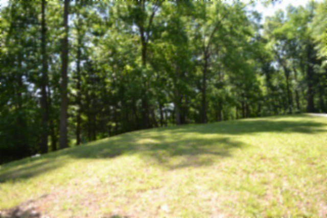Picture 68