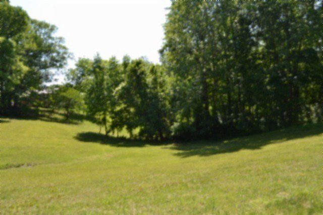 Picture 45