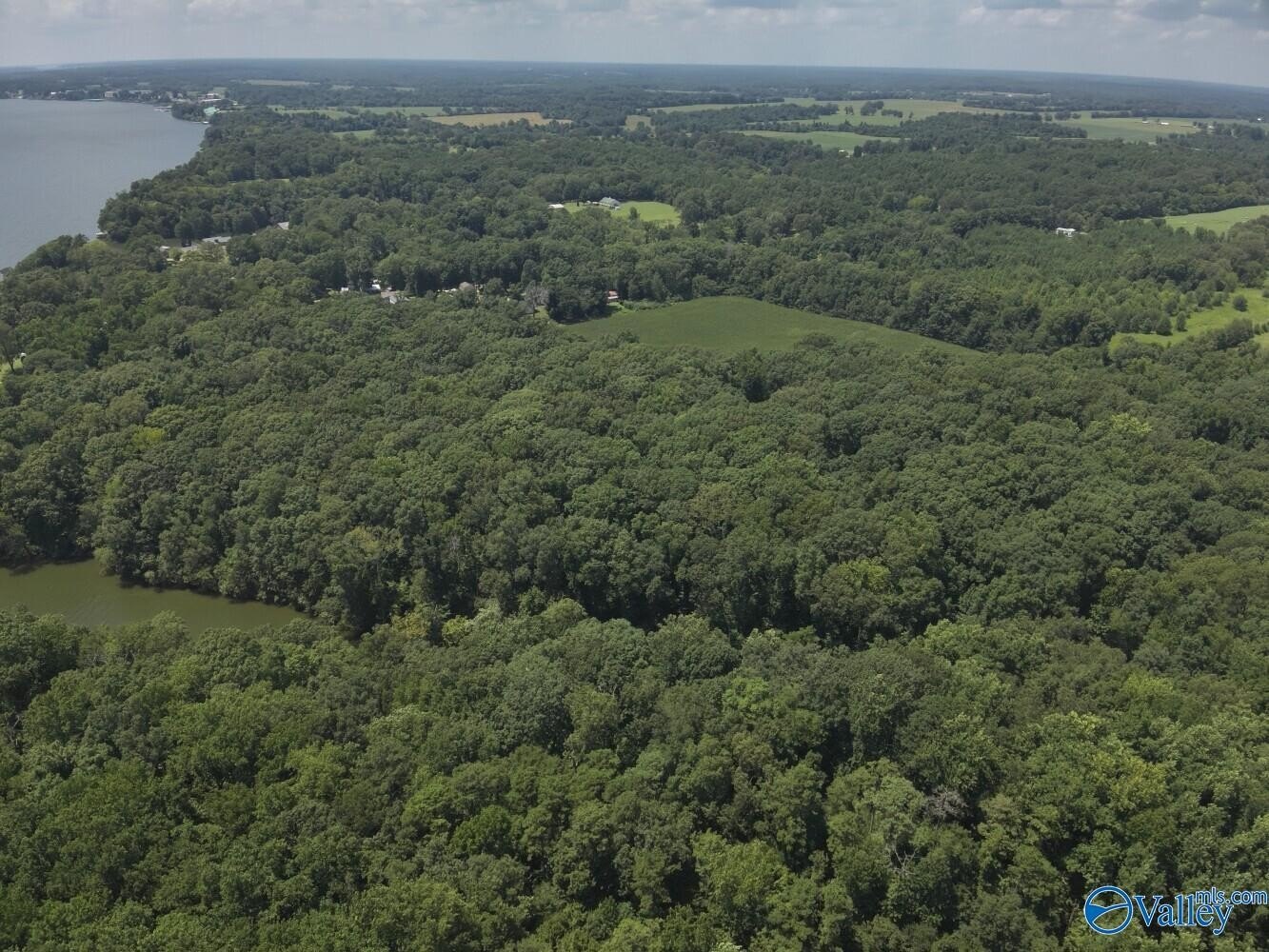 Wheeler Lake Waterfront Wooded Land