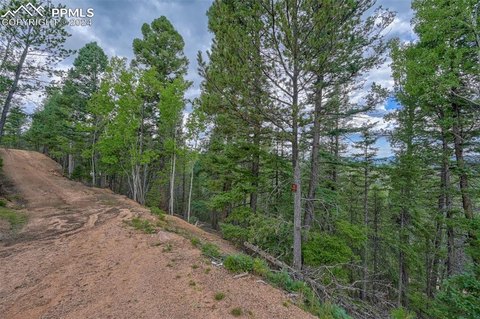 Wooded Mountain Lot For Sale