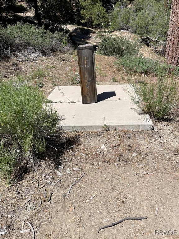Picture 13