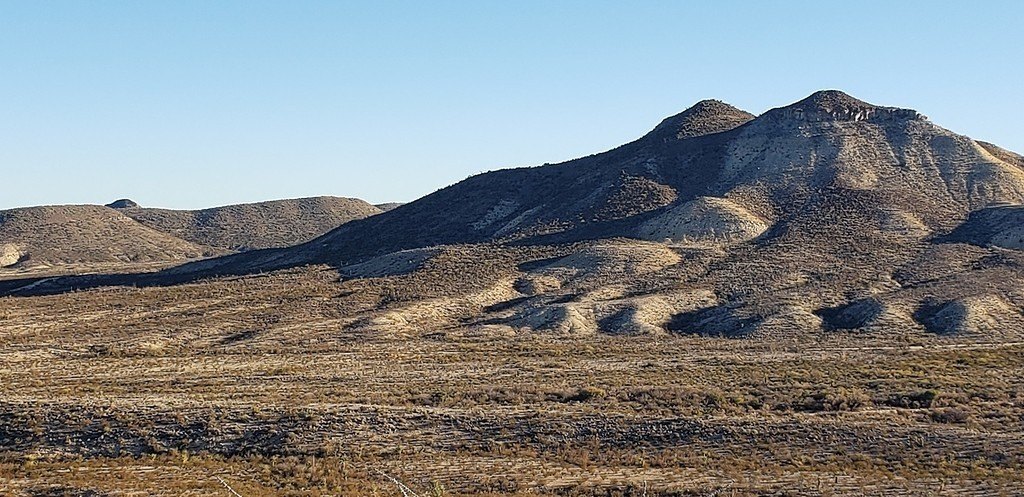 Picture 9