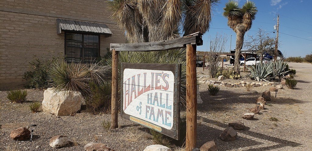 Picture 12