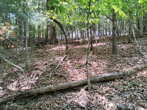 Buildable Lot in Gated Community