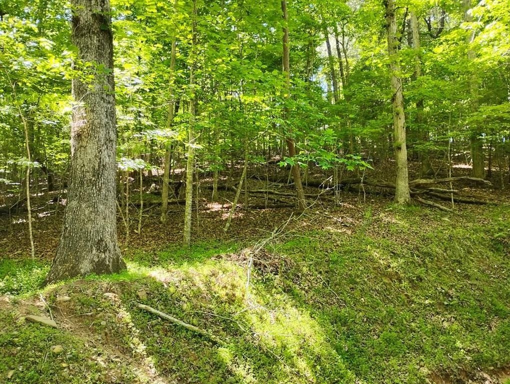 Picture 2