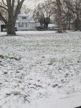 Residential Land Near Amenities