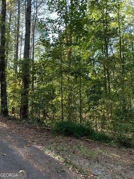 Picture of Land at Damascus Dr 1089, Ball Ground, GA