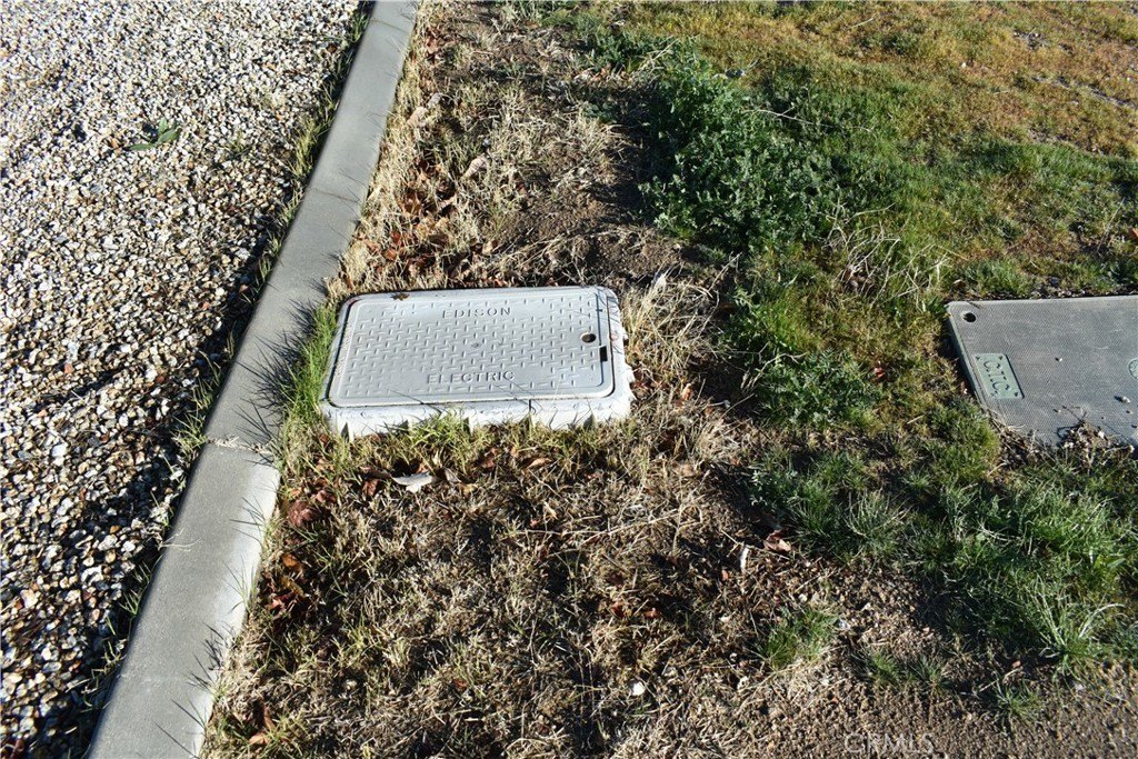 Picture 11