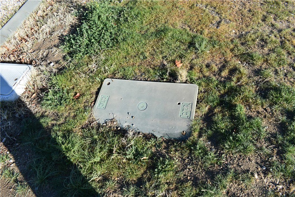 Picture 10