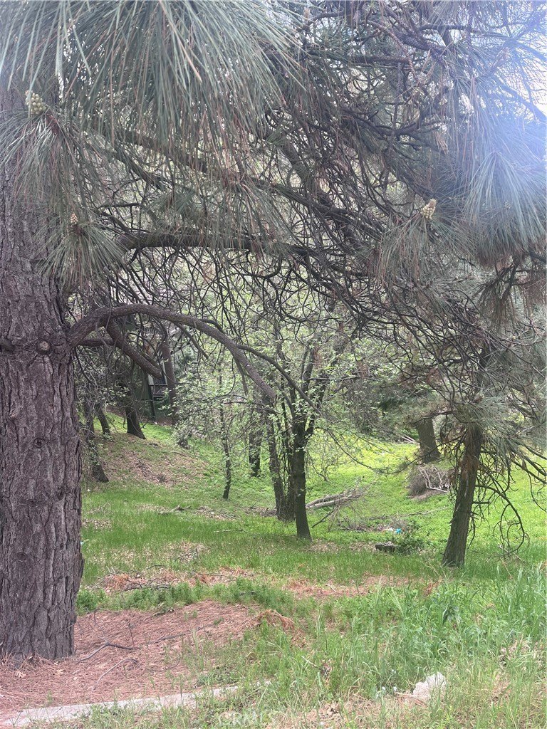 Crestline Land with Development Potential