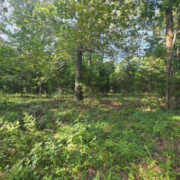 LAND - Benton, KY