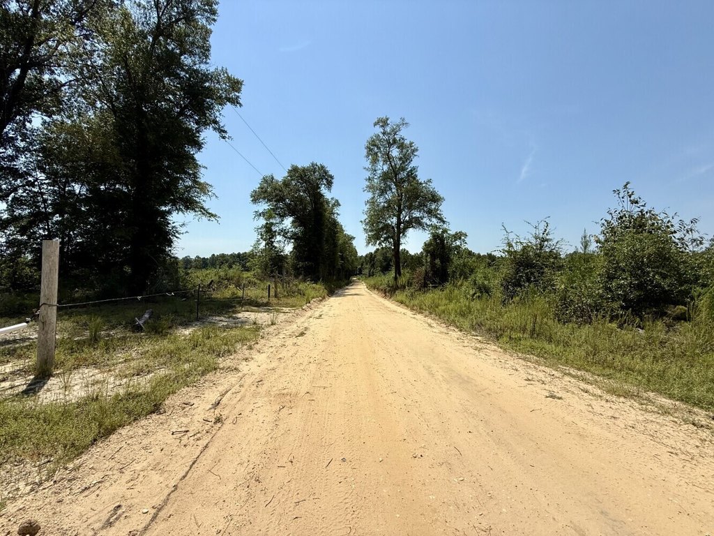 Picture 46