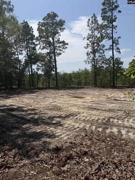 LOTS AND ACREAGE, Hartsville, SC