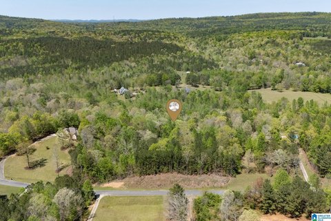 LAND - PELL CITY, AL