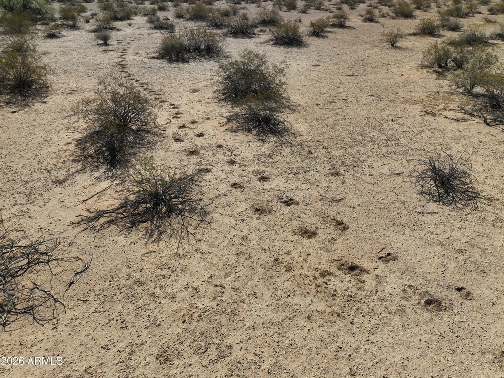Picture 16
