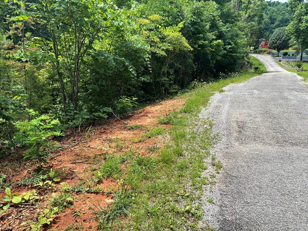 Picture 3
