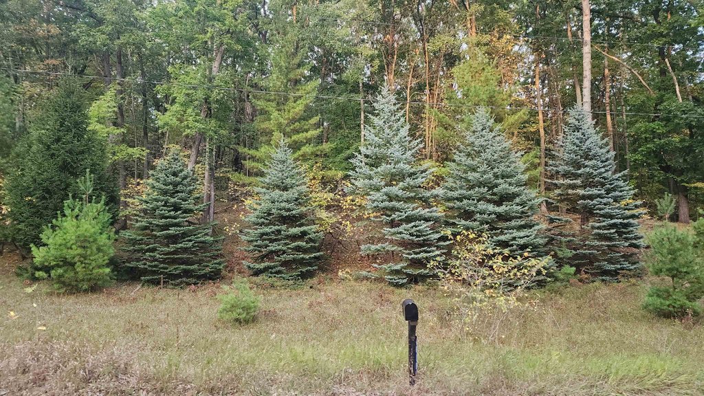 Picture 2