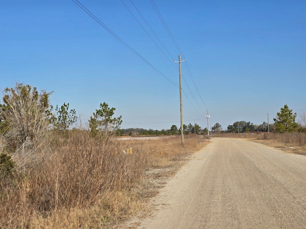 Picture 8