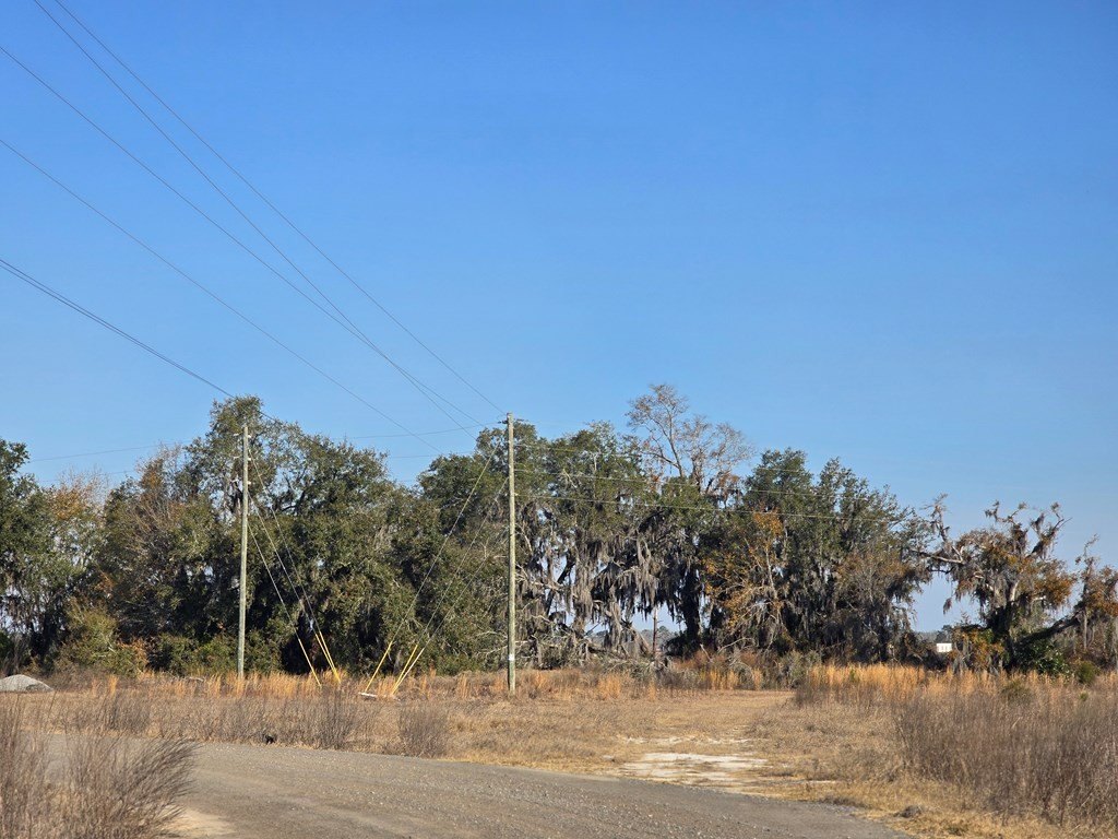 Picture 18