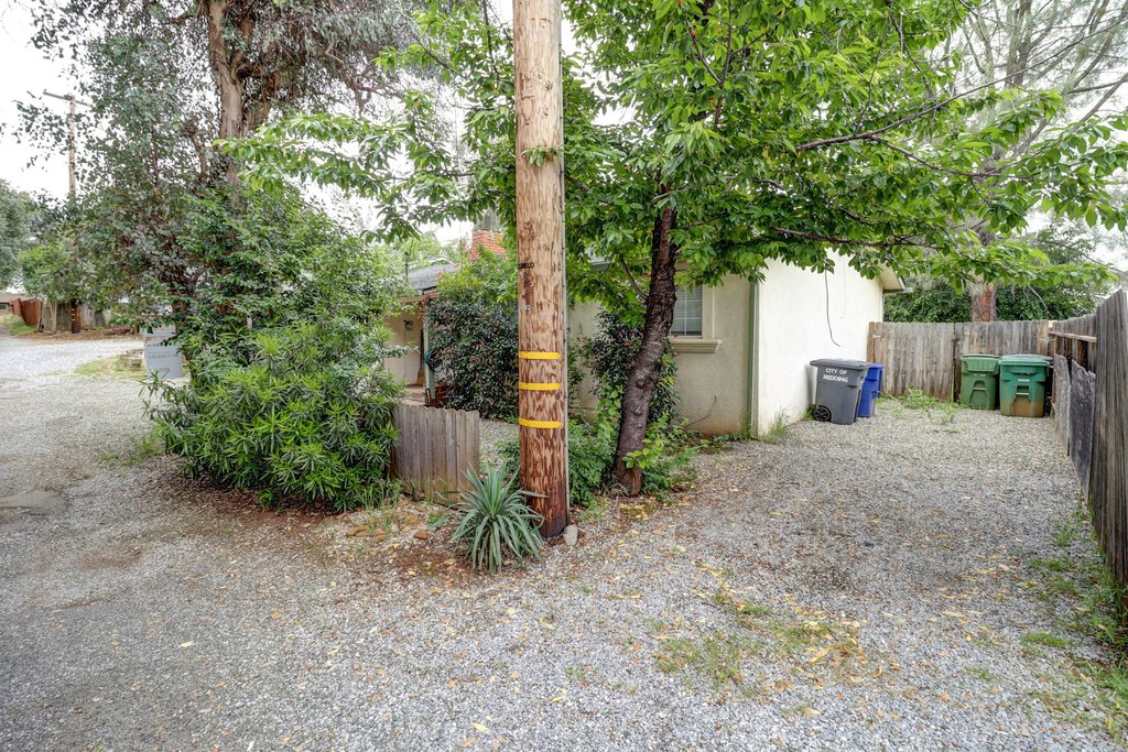 Picture 23