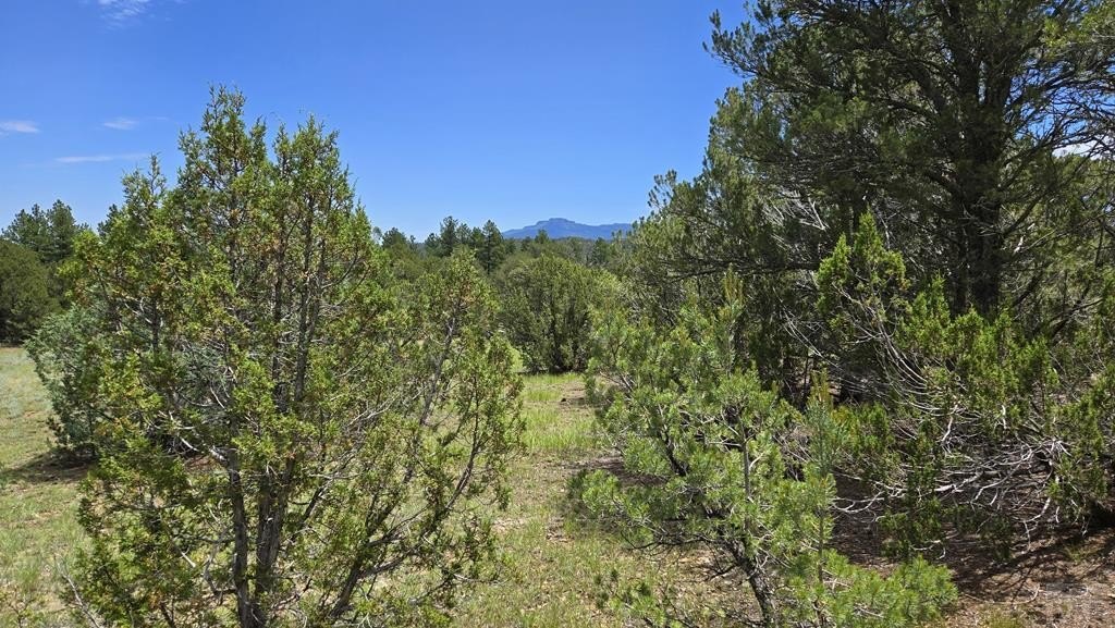 Land in Colorado Mountain Lake