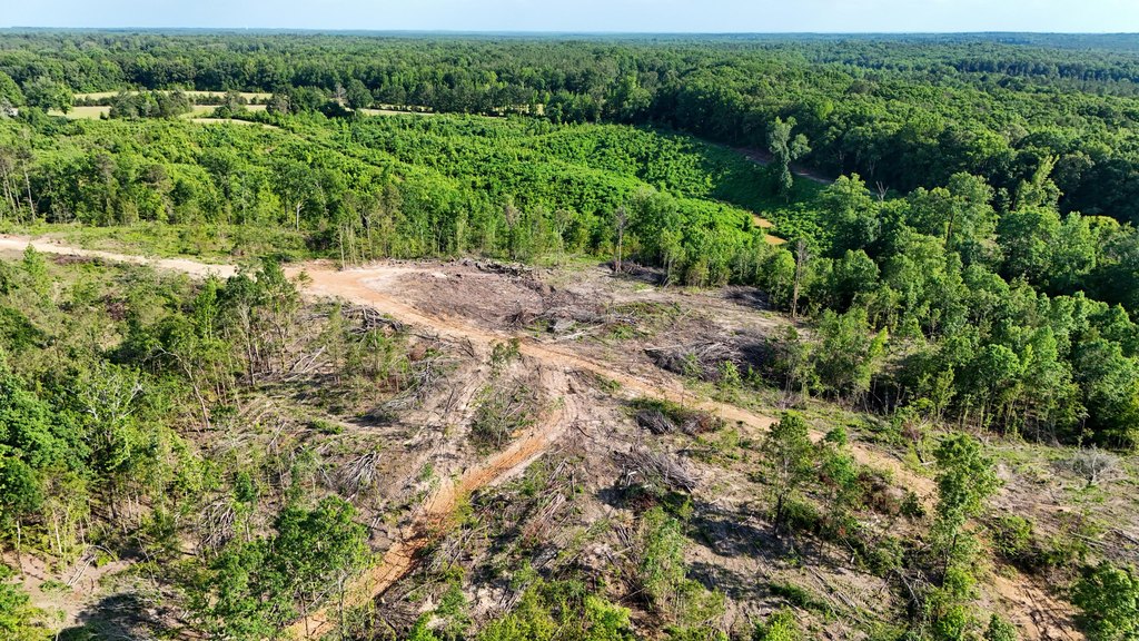 Picture 25