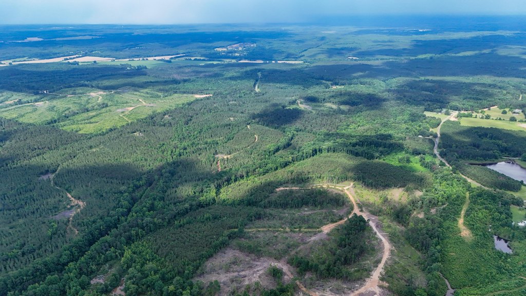 Picture 62