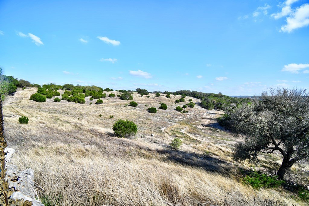 Picture 16