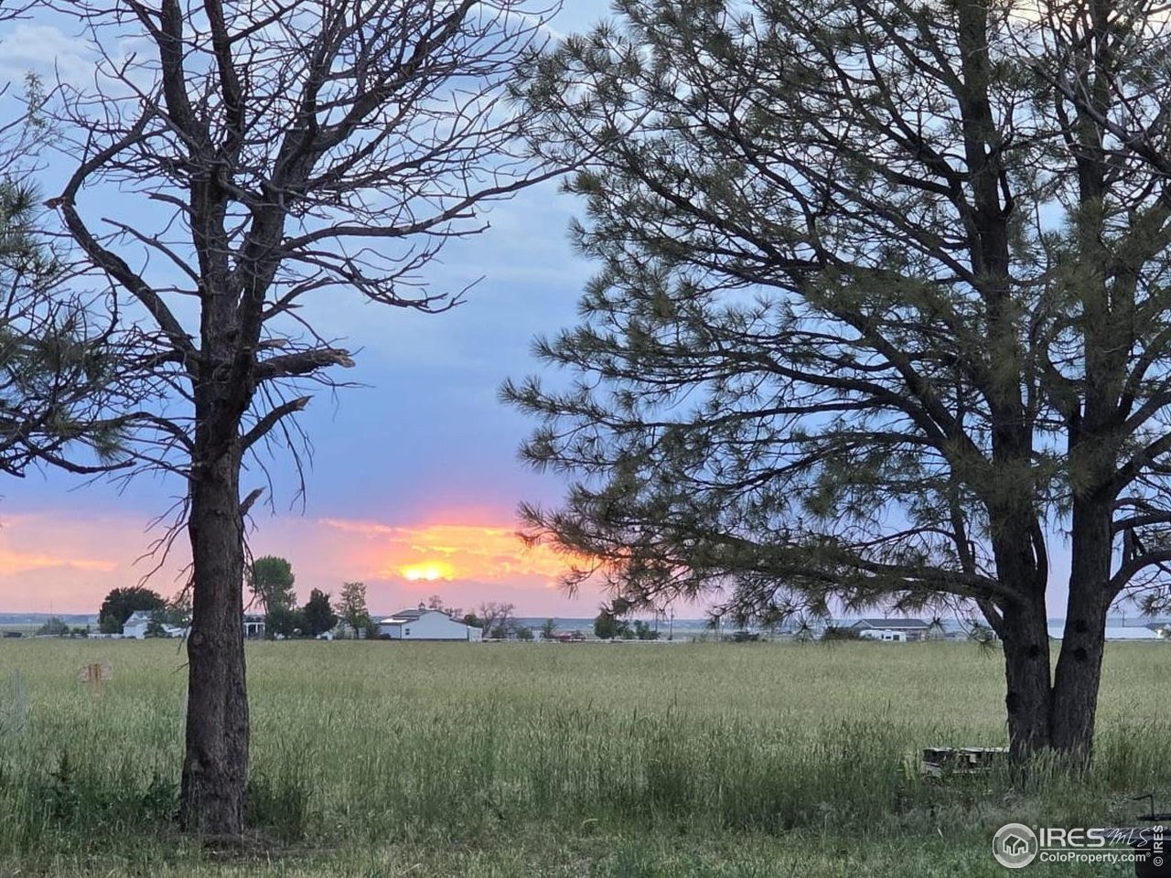 40 Acres of Colorado Land