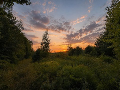 Land, Cornish, ME