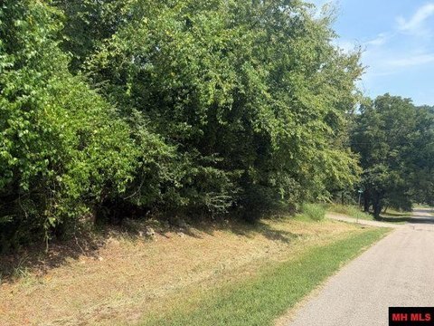 LAND - Cotter, AR