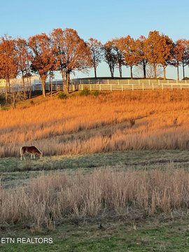 Crossville Land with Mountain Views