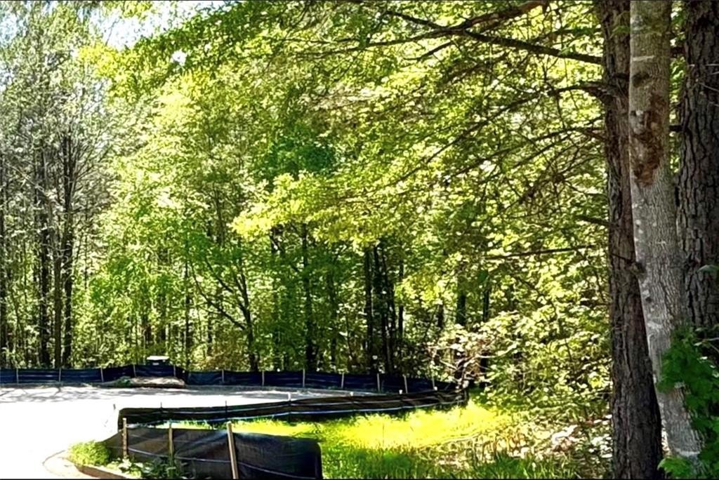 Wooded Lot in Established Community