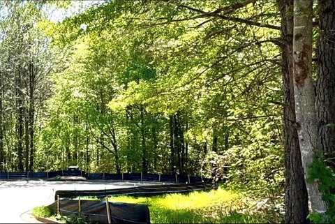 Wooded Lot in Established Community