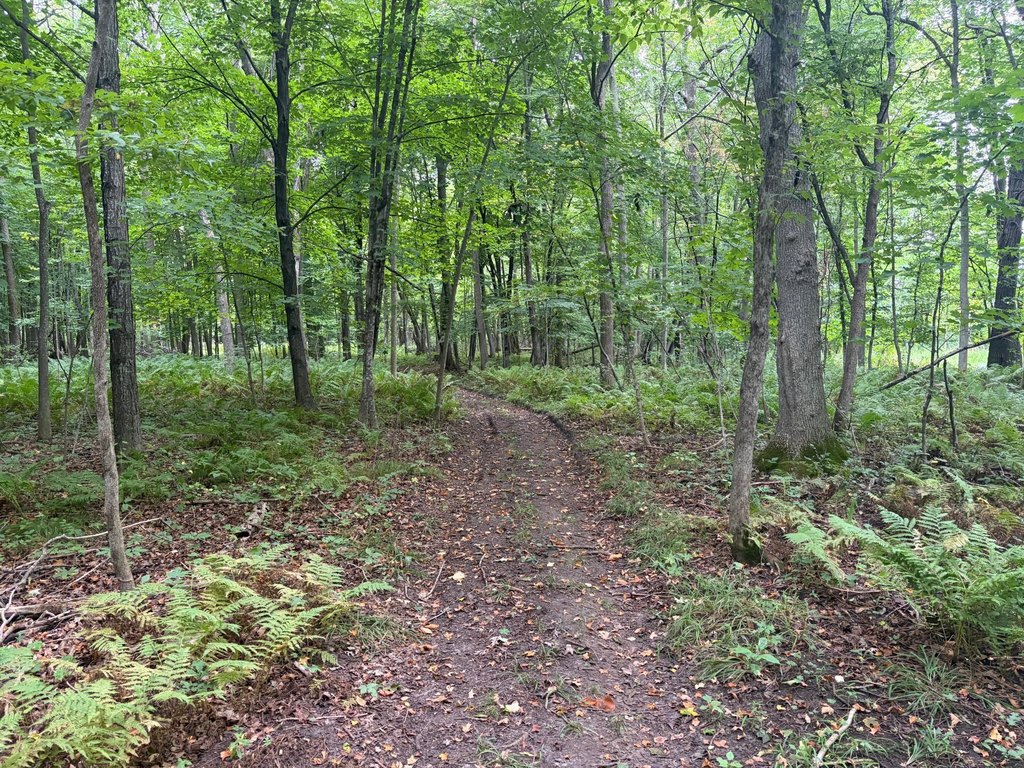Picture 18