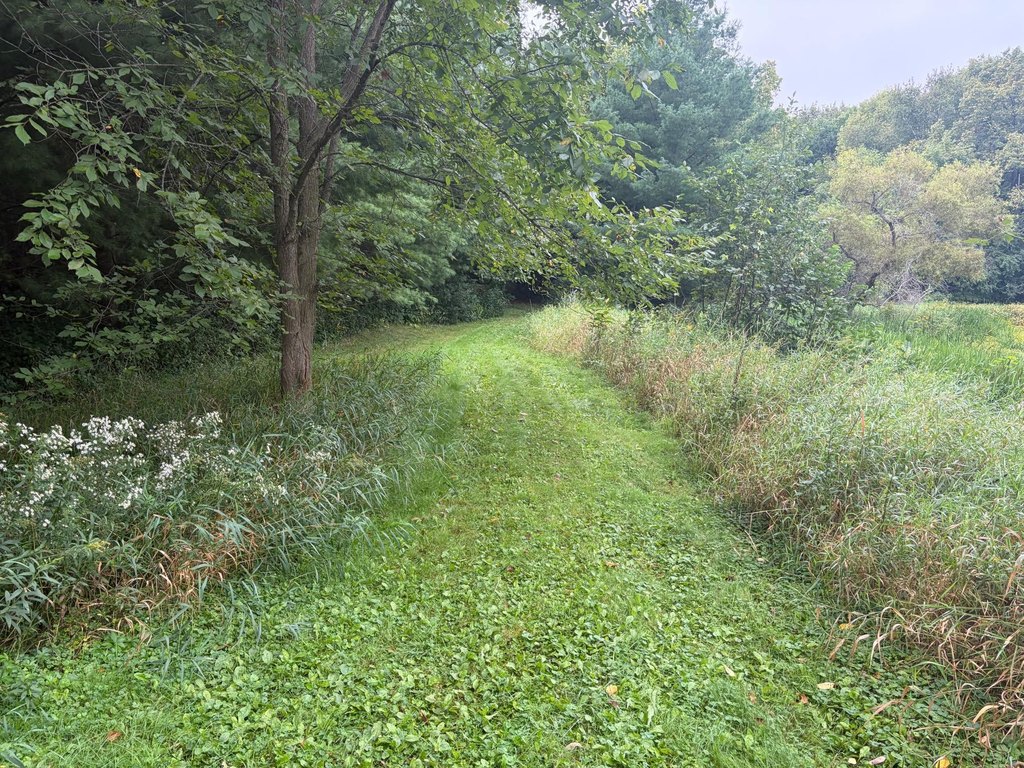 Picture 24