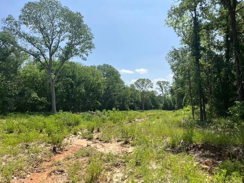 Culdesac Homesite with Hardwood Views